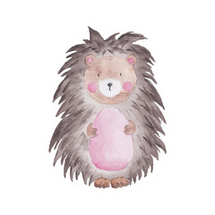 Hedhehog Woodland Watercolor animal Hand-painted Illustration Cute