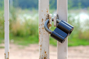 Fototapeta premium The black lock on gate against a green grass and the road