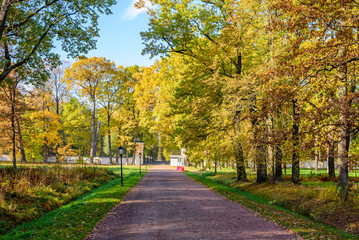 Fototapeta na wymiar Beautiful alley in the Park at the autumn, Saint-Petersburg, Russia.
