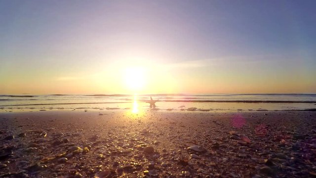 Seestern im Sonnenaufgang - Ostsee (Insel Usedom)