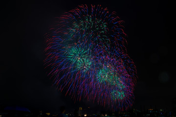 July the 4th Firework