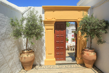 Entrance with wooden door, white wall and two clay pots with tre
