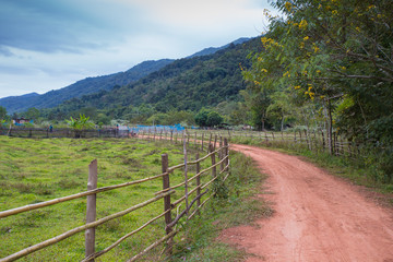 Fototapeta na wymiar Red dirt rough pathway road along bamboo fence lead to farm with mountain view, green environment and sky