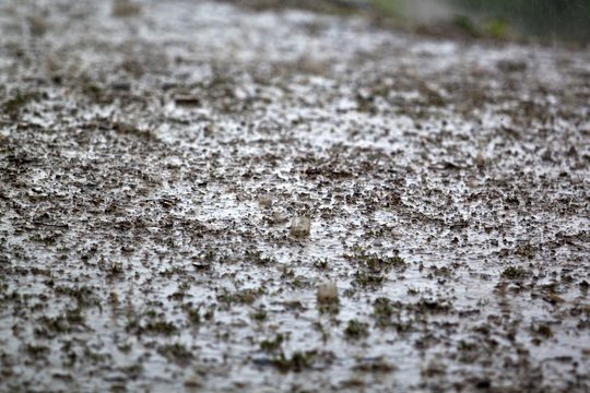 Heavy Rainfall