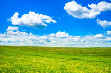 Obraz premium Field and cloudy sky