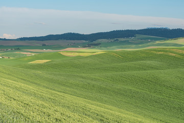 Rolling hills