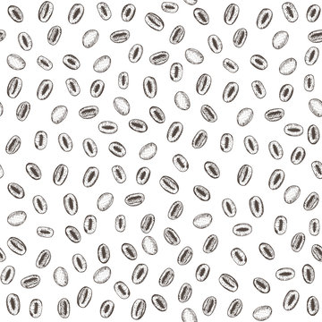 Seamless coffee pattern, coffee beans pattern © DiViArts