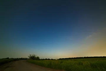  Country road on a background of the starry night sky. © olgapkurguzova