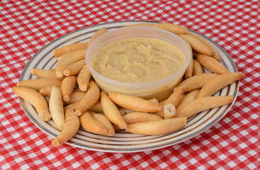 Toasted bread sticks and hummus dip on plate on tablecloth