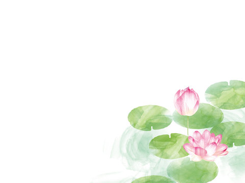 Fototapeta Lotus border. Hand drawn watercolor oriental nature illustration. Artistic lily flowers and leaves