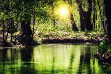 Magic Emerald River In Forest
