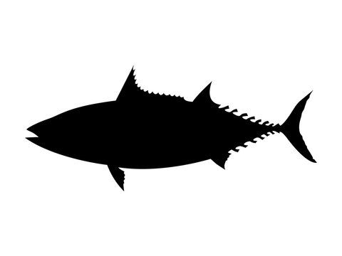 Skipjack tuna silhouette. Vector illustration.