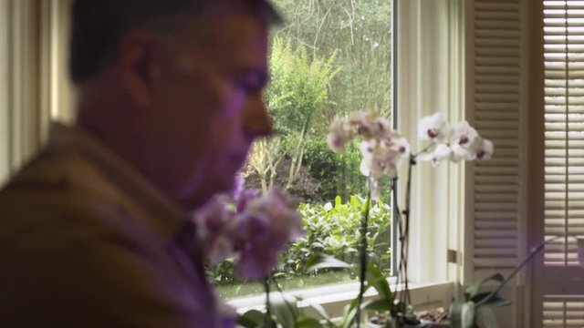 The beautiful day outside his window and some lovely orchids are lost on this sad or depressed mature man. Quick rack focus.