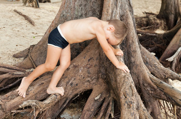 A little boy climbs a tree