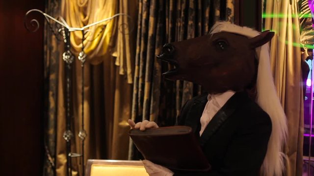 Toaster in a horse suit.