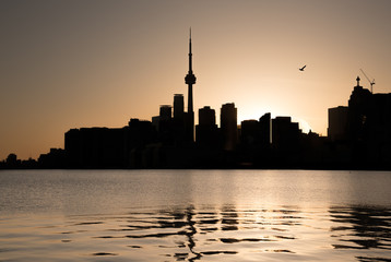 Fototapeta premium TORONTO SKYLINE SILHOUETTE