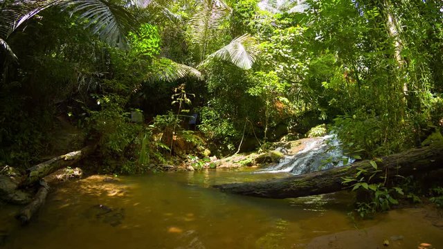 Abstract clip with fisheye effect of the continuous flow of white water, pouring down a rough, rocky course into a natural pool in a tropical rainforest wilderness, with sound.