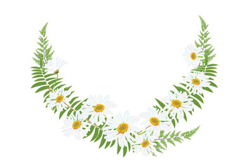 bouquet of daisy flowers with green fern on white background.vector illustration