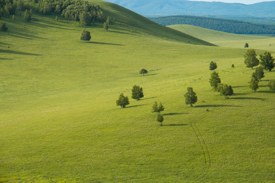 China Inner Mongolia natural grassland