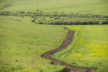 Road on the prairie