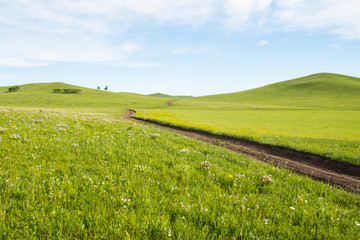 Road on the prairie