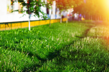 Summer lawn path landscape background