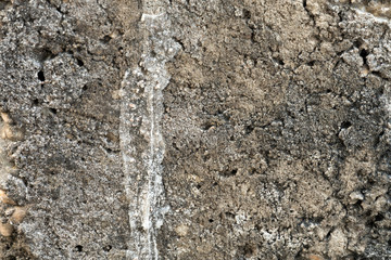 the old concrete wall.