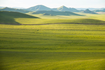 China Inner Mongolia natural grassland - 115276633