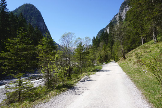 Road in the woodland with river along the side