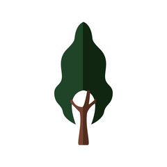 Nature and eco concept represented by tree icon. isolated and flat illustration 