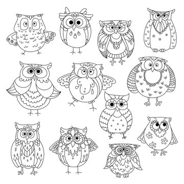 Funny owls and young owlets sketch symbols