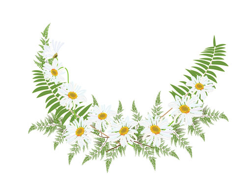 bouquet of daisy flowers with green fern on white background.vector illustration