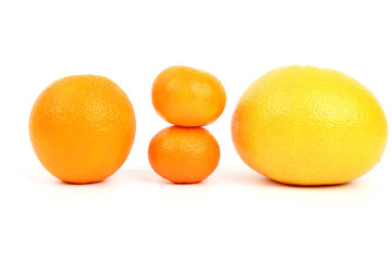 citrus fruits on white background