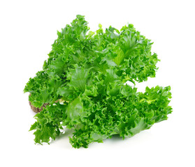 Fototapeta premium Green lettuce isolated on the white background.