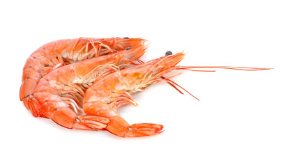 shrimps on a white background
