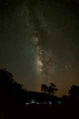 Silhouette of Tree and Milky Way at Phu Hin Rong Kla National Pa