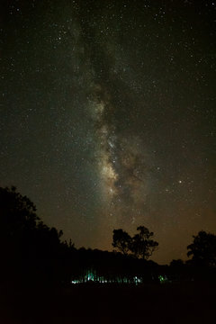 Silhouette of Tree and Milky Way at Phu Hin Rong Kla National Pa