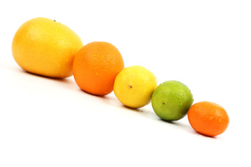 citrus fruits in a row, tilted on a white background