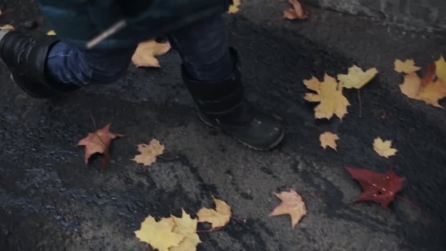 Child walk in autumn park. Yellow, green, gold maple leaf under feet. Nature. Slow motion