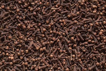 clove dried spicy herb for medicine.