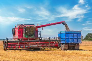 Combine harvester on a wheat field.