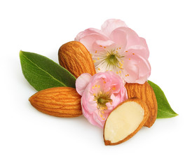 Almonds nuts with flower isolated