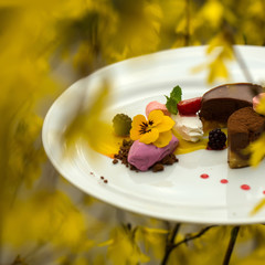 Chocolate souffle and ice cream