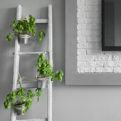 Creative decoration from ladder