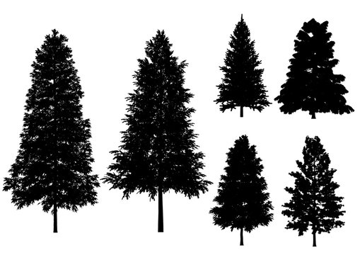 Vector trees isolated on a white background.