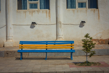 Statue of Lion in Mongolia .
