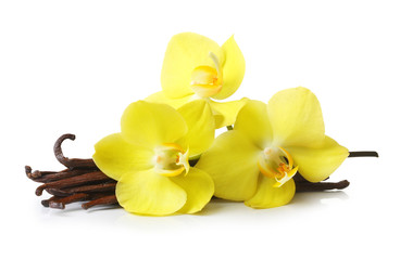 Vanilla pods and orchid flowers isolated