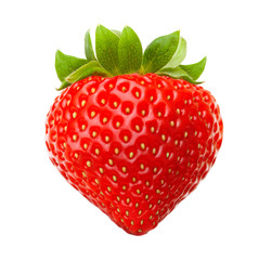 Red berry strawberry