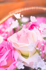 close up pink rose sweet love concept.