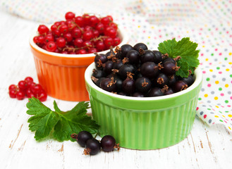 fresh red and black currant